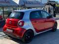 smart forFour 0.9 t Passion GPL 90cv twinamic my18 Rosso - thumbnail 6