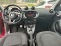 smart forFour 0.9 t Passion GPL 90cv twinamic my18 Rood - thumbnail 14