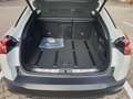Citroen C5 X Hybrid Shine Pack 225 e-EAT8#TopAusstattung Weiß - thumbnail 17