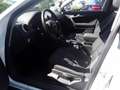 Audi A3 1.6 Attraction S-Dach Navi Klima SHZ White - thumbnail 3