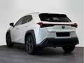 Lexus UX 300h 2.0  Plus - thumbnail 2