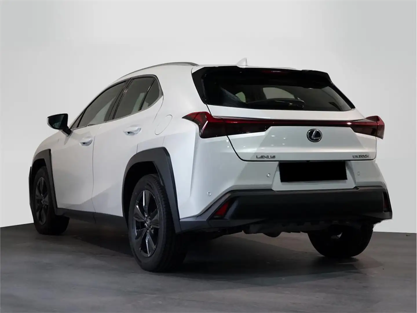 Lexus UX 300h 2.0  Plus - 2