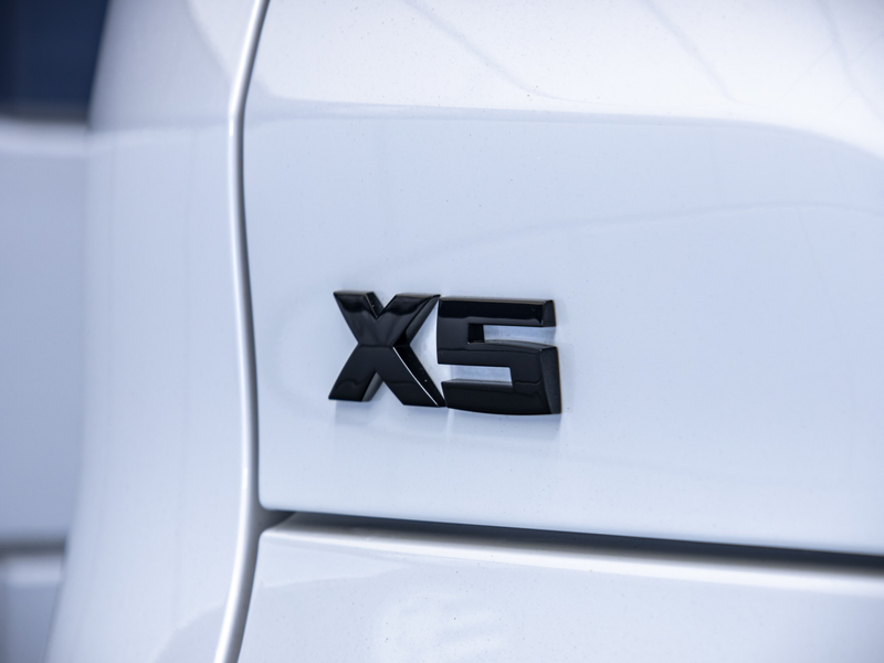 BMW X5 | xDrive45e | High Executive M-Sport Pakket | Luch — photo 11