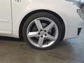 SEAT Exeo Exeo ST ST 2.0 tdi cr Sport 170cv -Garanzia12m- - thumbnail 5