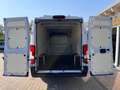 Opel Movano Fahrgestell HKb L4H2 3,5t (verstärkt) C ... Wit - thumbnail 10