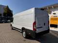 Opel Movano Fahrgestell HKb L4H2 3,5t (verstärkt) C ... Wit - thumbnail 3