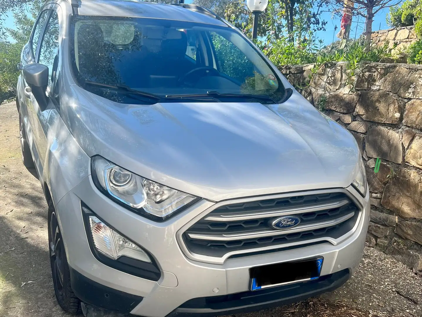Ford EcoSport EcoSport 2018 1.0 ecoboost ST-Line s Argento - 1