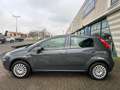 Fiat Punto Punto 5p 1.2 Lounge E6 Grigio - thumbnail 3