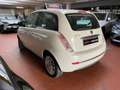 Lancia Ypsilon Ypsilon 1.2 Neopatentati Euro 5 Bianco - thumbnail 4