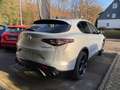 Alfa Romeo Stelvio Competizione 2.0 Turbo (280 PS) AT8 - Q4 Gris - thumbnail 5