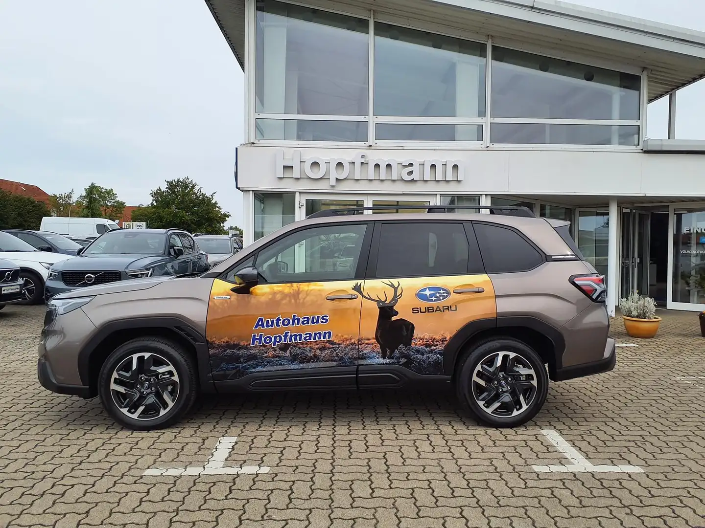 Subaru Forester 2.0ie AWD Aut. Exclusive/Panoramadach Brons - 2