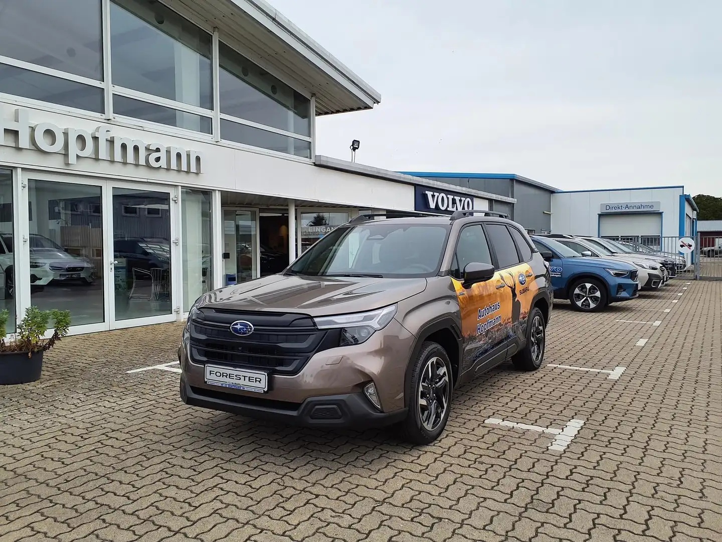 Subaru Forester 2.0ie AWD Aut. Exclusive/Panoramadach Brons - 1