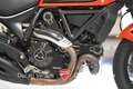 Ducati Scrambler Scrambler 800 Icon + Termignoni Orange - thumbnail 18
