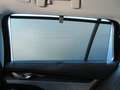 Skoda Octavia Selection TDI DSG Schwarz - thumbnail 11