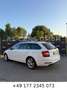 Skoda Octavia Combi 2.0 TDI *BUSINESS PAKET*SHZ HINTEN Weiß - thumbnail 2