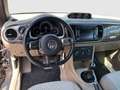 Volkswagen Beetle VW The Beetle Cabriolet Design BMT TSI Braun - thumbnail 13