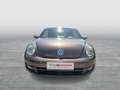 Volkswagen Beetle VW The Beetle Cabriolet Design BMT TSI Braun - thumbnail 7