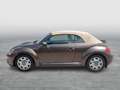 Volkswagen Beetle VW The Beetle Cabriolet Design BMT TSI Braun - thumbnail 2