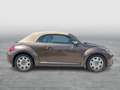 Volkswagen Beetle VW The Beetle Cabriolet Design BMT TSI Braun - thumbnail 5