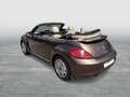 Volkswagen Beetle VW The Beetle Cabriolet Design BMT TSI Braun - thumbnail 10