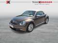 Volkswagen Beetle VW The Beetle Cabriolet Design BMT TSI Braun - thumbnail 1