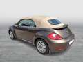 Volkswagen Beetle VW The Beetle Cabriolet Design BMT TSI Braun - thumbnail 3