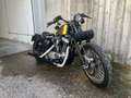 Harley-Davidson XL 883 XL/2 STORICA Oro - thumbnail 3