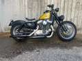 Harley-Davidson XL 883 XL/2 STORICA Oro - thumbnail 4