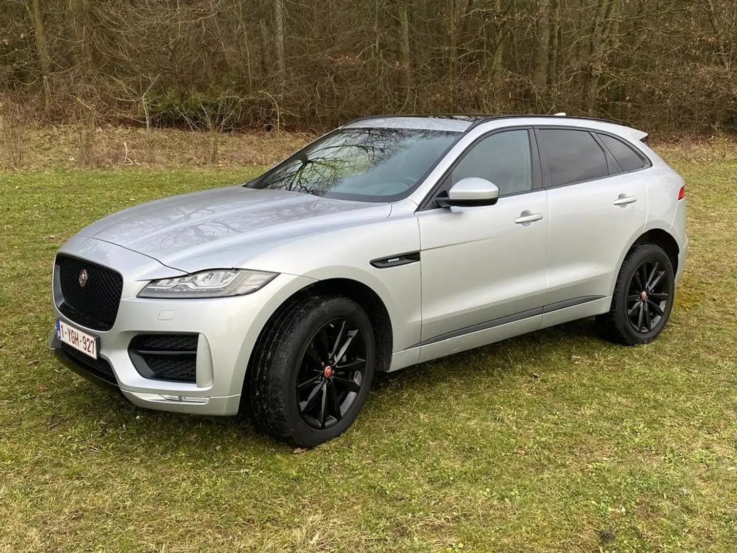 Jaguar F-Pace F-Pace 20d AWD Aut.R-Sport Argent - 1