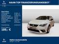 SEAT Ibiza 1.5TSI DSG FR LED Navi Beats ACC Sitzh APP Wit - thumbnail 2