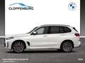 BMW X5 xDrive30d M Sportpaket Gestiksteuerung DAB Bianco - thumbnail 5