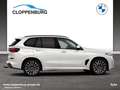 BMW X5 xDrive30d M Sportpaket Gestiksteuerung DAB Bianco - thumbnail 8