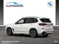 BMW X5 xDrive30d M Sportpaket Gestiksteuerung DAB Blanc - thumbnail 6