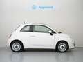 Fiat 500 1.2 Cult Beige - thumbnail 3