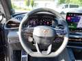 CUPRA Terramar TERRAMAR VZ 2.0 TSI DSG 4DRIVE MATRIX-LED NAVI Violett - thumbnail 8