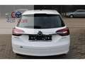 Opel Insignia 1006 edition ParkPilot leer Blanc - thumbnail 7