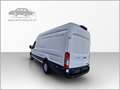 Ford Transit L4H3 2,0 TDCi Vorsteuerabzugsfähig € 24.833.-netto Weiß - thumbnail 4