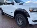 Dodge RAM 1500 4x4 5.7  SPORT  NIGHT EDITION - GPL -12" Bianco - thumbnail 7