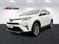 Toyota RAV 4 RAV4 2.5 4WD HSD ACTIVE Weiß - thumbnail 1