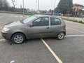 Fiat Punto 3p 1.3 mjt 16v Active Bronz - thumbnail 3