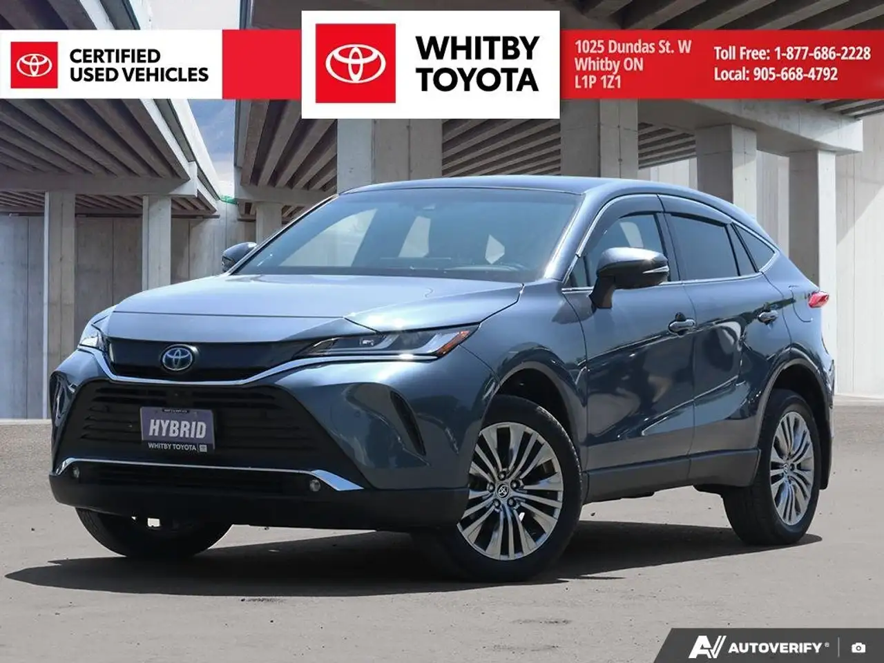 2024 Toyota Venza