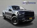 Ford F 150 (USA) RAPTOR LAGE CATALOGUSWAARDE F150 Grijs - thumbnail 3