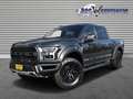 Ford F 150 (USA) RAPTOR LAGE CATALOGUSWAARDE F150 Grijs - thumbnail 1