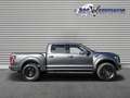 Ford F 150 (USA) RAPTOR LAGE CATALOGUSWAARDE F150 Grijs - thumbnail 4