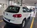 Volkswagen Tiguan 1.4 TSI 122cv Cross BlueMotion Technology Bianco - thumbnail 2