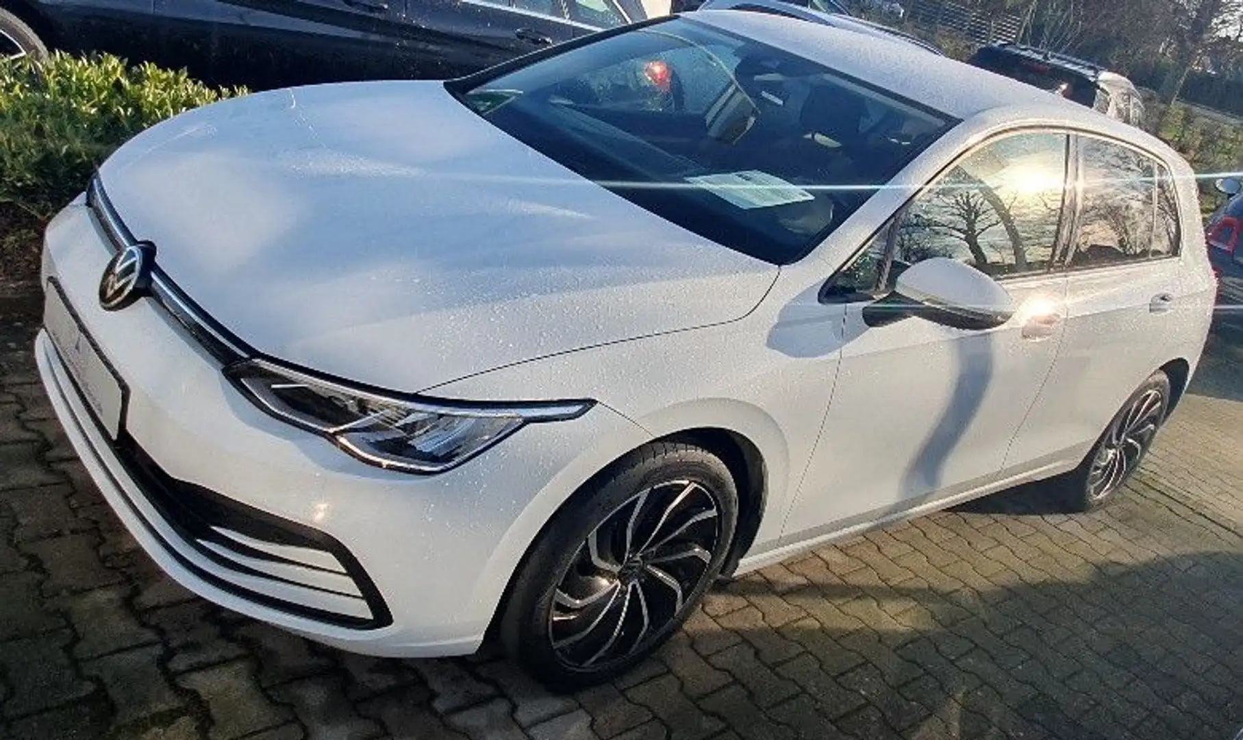 Volkswagen Golf VIII Lim. Life Ambilight Navi SH ALU Weiß - 2