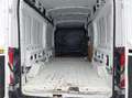 Ford Transit FT 350 L3 Van Trend 100 Blanco - thumbnail 6