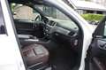 Mercedes-Benz ML 350 ML350 CDI AMG  Topstaat Blanc - thumbnail 7