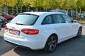 Audi A4 Avant TDI*Navi*Xenon*WR+SR*TÜV*TOP*GARANTIE Blanc - thumbnail 8