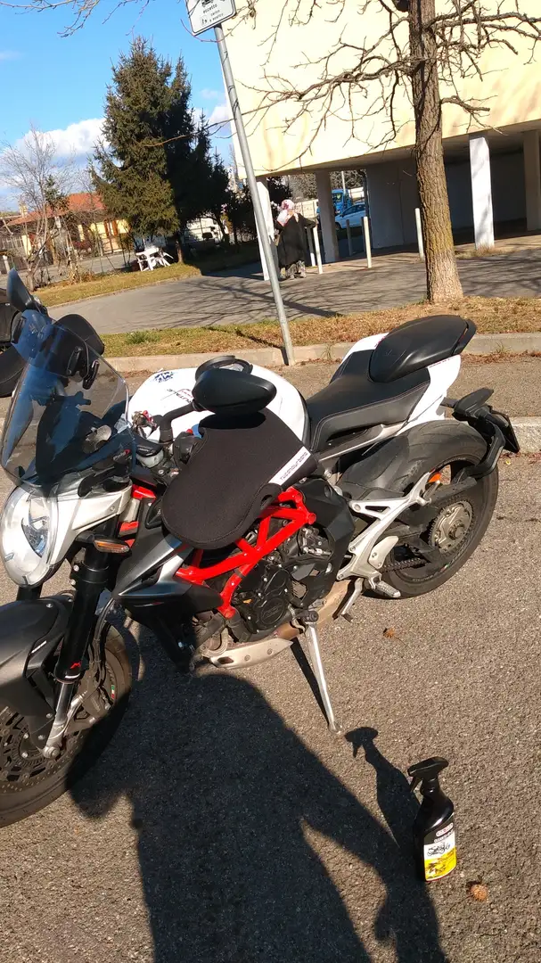 MV Agusta Brutale 800 Blanco - 2